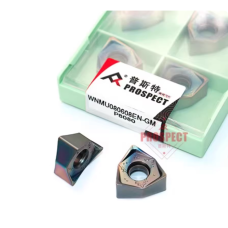 WNMU080608EN-GM P8080