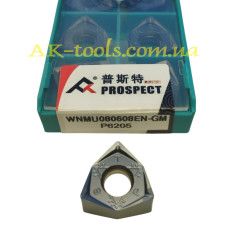 WNMU080608EN-GM P6205