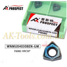 WNMU040308EN-GM P8080