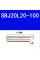 SBJ20L20-100L