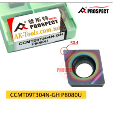 CCMT09T304N-GH P8080U