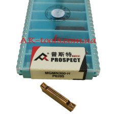 MGMN300-H P6205